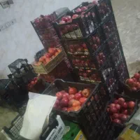 انار درجه یک صورتی|خوردنی و آشامیدنی|قم, شهرک فاطمیه|دیوار