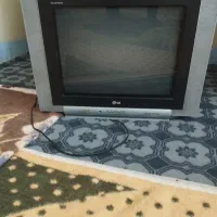 تلویزیون