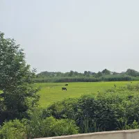 اجاره روزانه/هفتگی ویلا دوخوابه گلسار(مرکز) رشت|اجارهٔ کوتاهمدت ویلا و باغ|رشت, پستک|دیوار