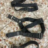 قلاده کمری با بند و قلاده گردنی