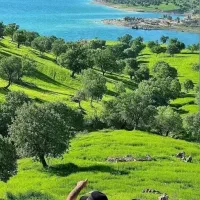 اقامتگاه
