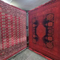 فرش قرمز مدرن****|فرش|رشت, باهنر|دیوار