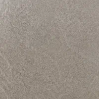 موکت شسته شده و تمیز|موکت|بهار, |دیوار