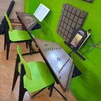 آموزش سنتور به صورت حرفه ای(محدوده جمهوری)