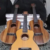 Ukulele یوکللی اوکوله له