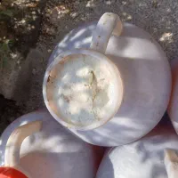 فروش عسل