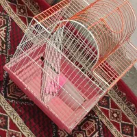 قفس|لوازم جانبی حیوانات|زاهدان, |دیوار