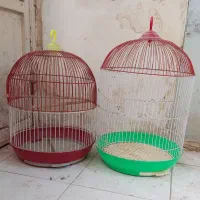 انواع قفس پرنده (کاسکویی، تزیینی )