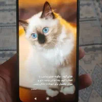 گوش شیایومی نوت 11