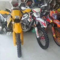 تارو طلائی (سفارشی)|موتورسیکلت|مشهد, الهیه|دیوار