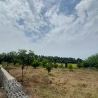زمین-باغ-مرکبات-با-حصار-و-سند-بر-جاده-محمودآباد