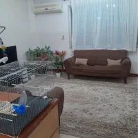 اجاره-واحد-غرق-درنور-طبقه-سوم-شیک-در-کوی-زمانی