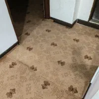 موکت|موکت|علی‌آباد کتول, |دیوار