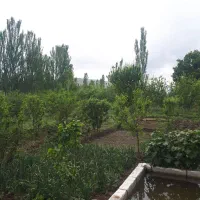 باغ و زمین زراعی در منطقه جاده قطور  خوی|فروش زمین و ملک کلنگی|خوی, |دیوار