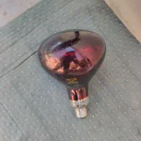 لامپ مادون قرمز(مادر مصنوعی)