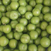گوجه سبز