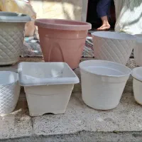 گلدان