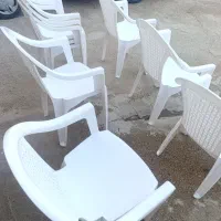 صندلی پلاستیکی کد 812  جنس اصل ناصر 12عدد|صندلی و نیمکت|اهواز, گلدشت|دیوار