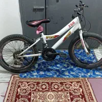 دوچرخه