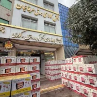 پخش بخاری برقی بدون فن مهر مدل تویوست تک عمده