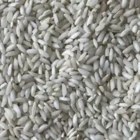 انوع برنج عنبربو درجه ۱ ورستورانی