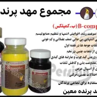 مهد پرنده|پرنده|رامهرمز, |دیوار