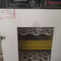 دستگاه جوجه کشی هدایت نو نو