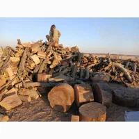 خرید چوب|خدمات باغبانی و درختکاری|کهریزک, |دیوار