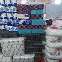 دستمال کاغذی ۳۰۰برگ اولدوز