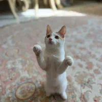 واگذاری نارنگی رایگان