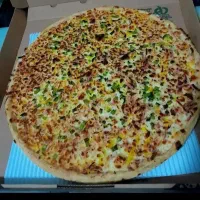 پیتزا خانواده مخصوص (۳۴سانتی) فقط و فقط (۴۱۰)