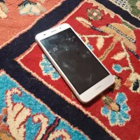 سالم در حده نو است