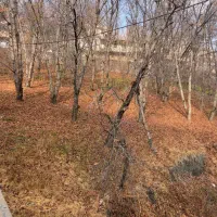 راهنمایی تفریح