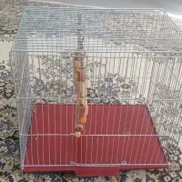 قفس کاملا تمیز و نو|لوازم جانبی حیوانات|اصفهان, قهجاورستان|دیوار