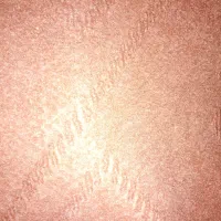 موکت قهوه ای بهمراه یه زیلو تمیز