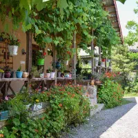 رزرو انواع هتل اقامتگاه ویلا در سرتاسرایران و دنیا