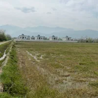 فروش-زمین-کشاورزی