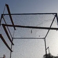 قفس کبوتر