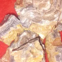 سنگ مرجانی درجه یک|بدلیجات|مشهد, مهدی آباد|دیوار