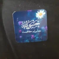 مگنت یخچالی