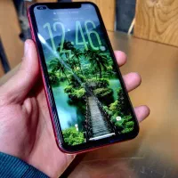 فروش فوریiPhone 11 128gig red قرمز|موبایل|لنجان, |دیوار