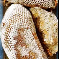 محصولات طبیعی|خوردنی و آشامیدنی|دیلم, |دیوار