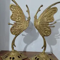 پروانه برنز اصل