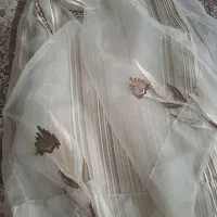 پرده و کناره