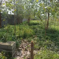 فروش زمین مسکونی روستایی  دارای آب و حصار کشی