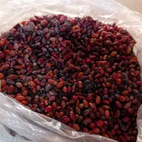 زرشک تر و خشک کوهی محلی و آب زرشک|خوردنی و آشامیدنی|شیراز, شهرک قمشه|دیوار
