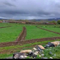 زمین-سند-دار