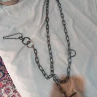 قلاده سگ