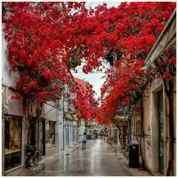 نظافتچی واحد ۵۰ متری نسیم شهر