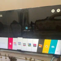 محافظ تلویزیون